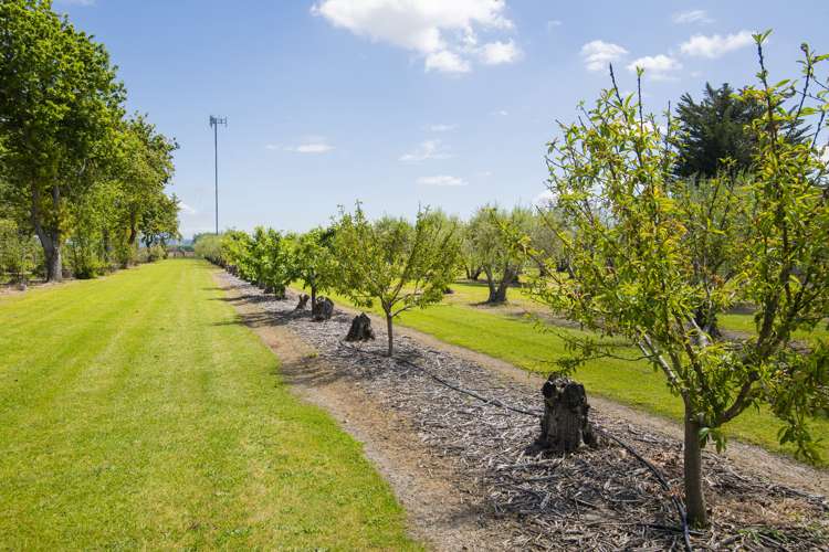 144 Makaraka Road Makaraka_10