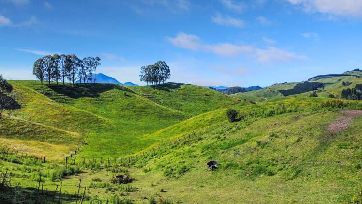 109 McIvor Road Rotoma_10