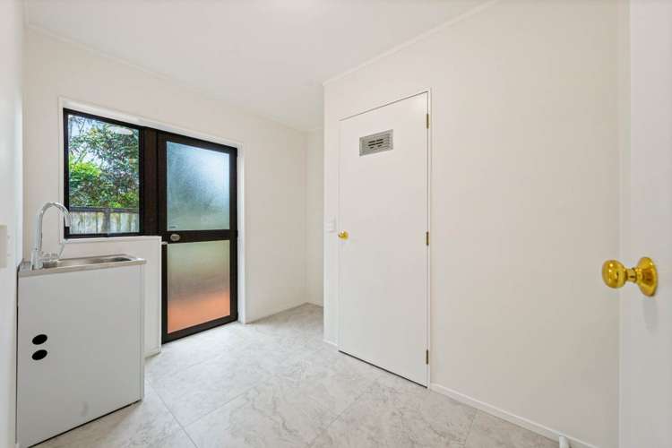 6 Matipo Street Mount Eden_17