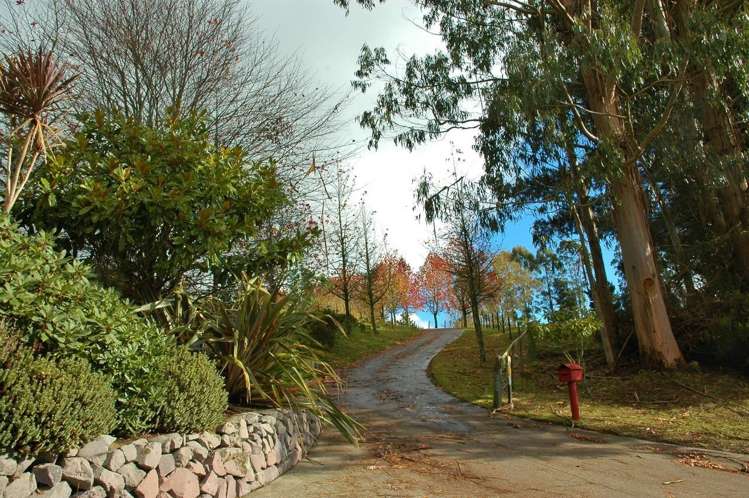 491 Palmer Mill Road Wairakei and Surrounds_18