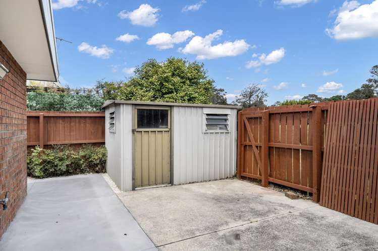 41 Briarmont Street Avondale_24