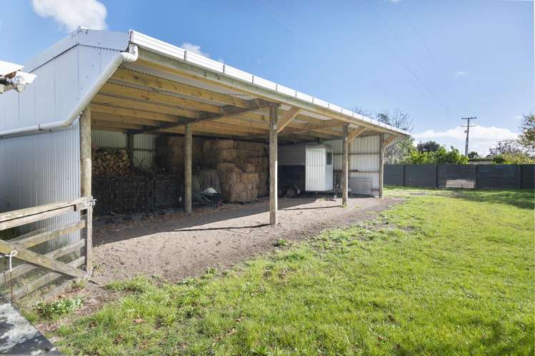 363 Brandon Hall Road Bulls_22