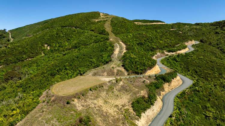 Cable Bay Road Hira_4