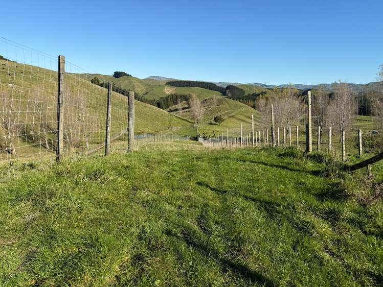 196 Ngapaeruru Rd Dannevirke_18