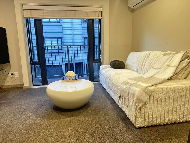 3 Dovedale Place Parnell_6