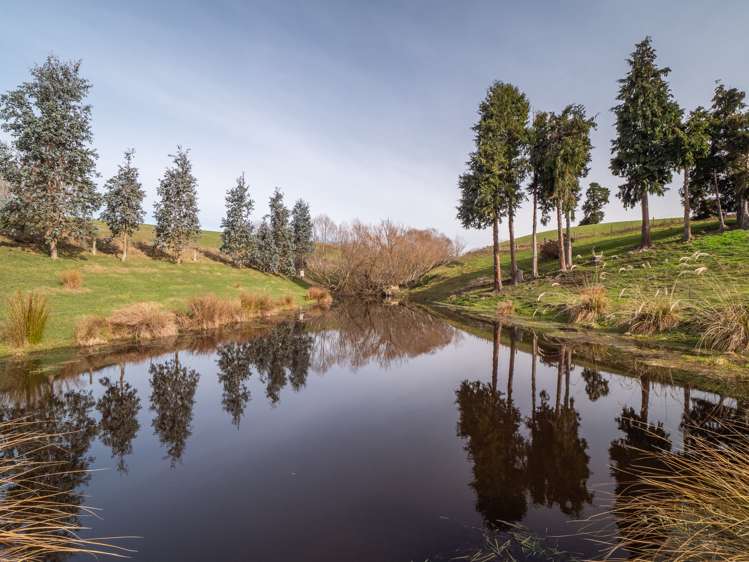 37 Franklin Road Lawrence_6