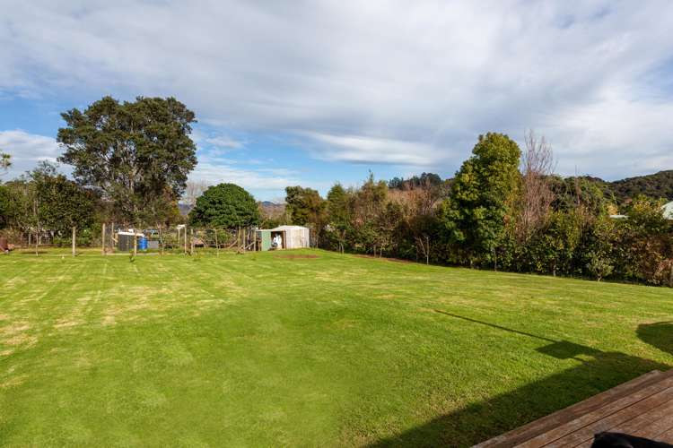 150 Beech Lane Coromandel_5