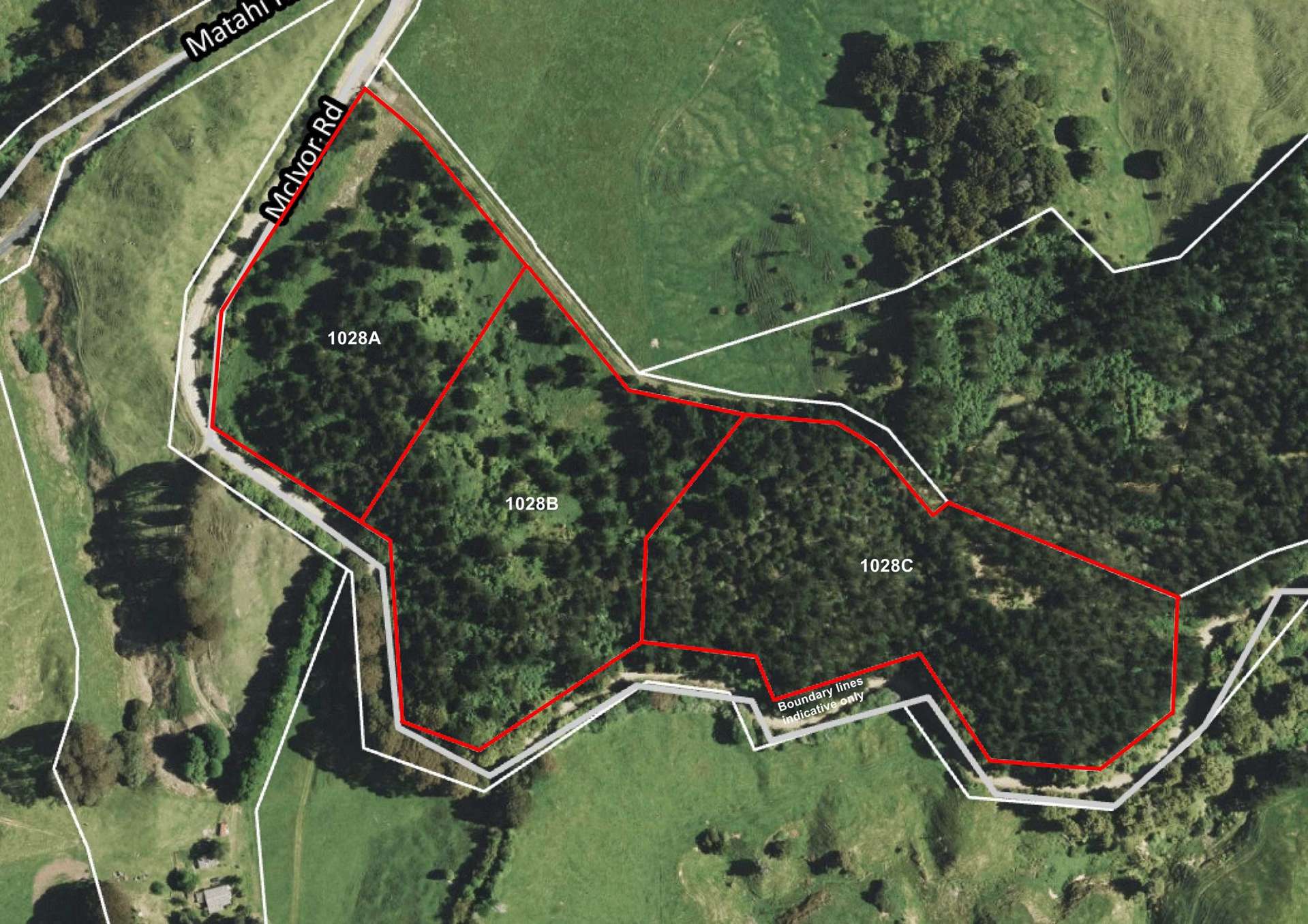 1028 A,B,C McIvor Road Rotoma_0