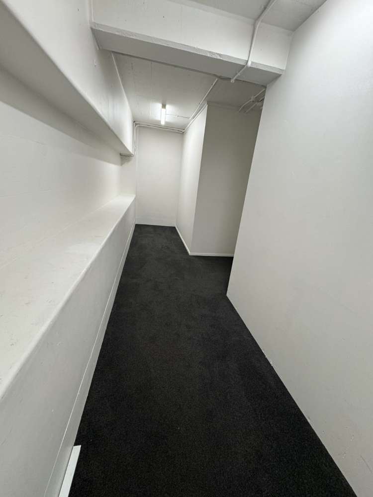 62 Randolph Street Eden Terrace_8