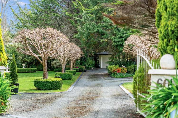 60 Emerald Hill Drive Birchville_24