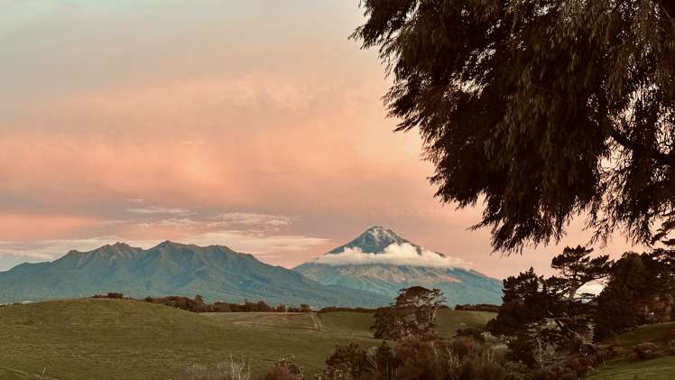 100 Carthew Street Okato_14