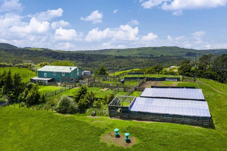 Te Akau Coast Road Te Akau_1