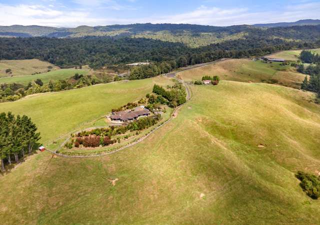 101 Te Kohanga Road Whakamarama_3