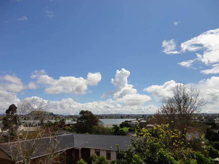 14 Caithness Place Farm Cove_3