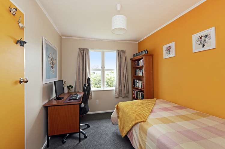 32 Plunket Street Tamatea_9