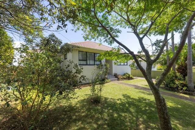 537 Richardson Road Mount Roskill_2