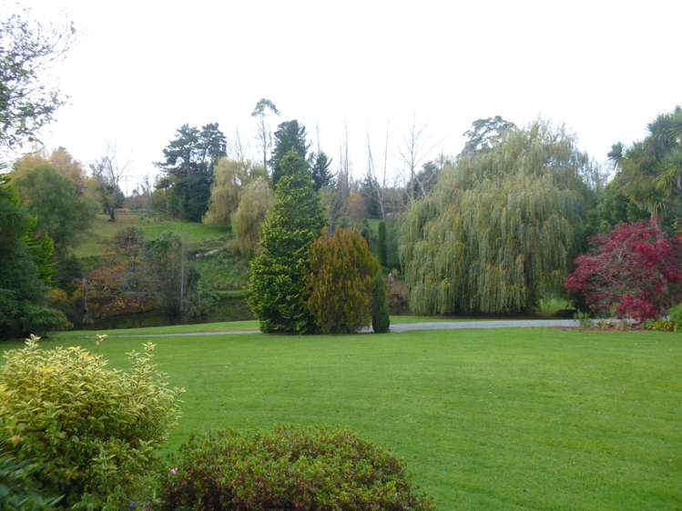 99 Pye Road Geraldine_7