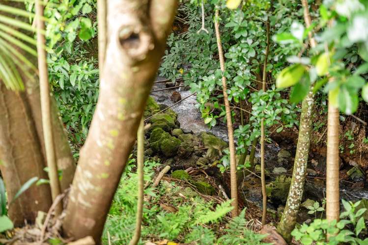 17 Parkland Crescent Kamo_24