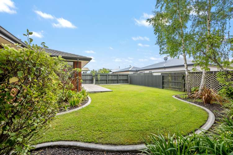 131a Redwood Street Redwoodtown_24