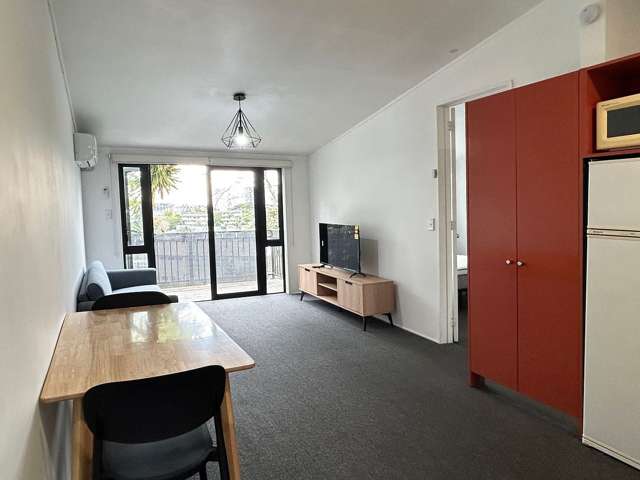 Sunny 1-Bedroom Unit – Ponsonby / K Road Fringe