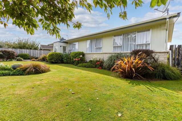 38 Ruahine Street Dannevirke_1