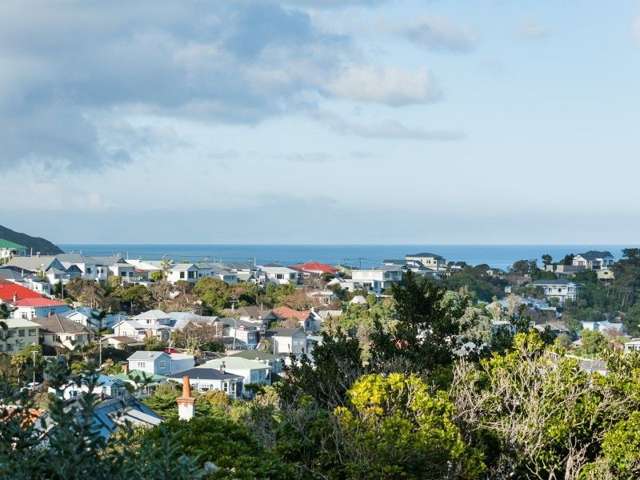 105 Rakau Road Hataitai_2