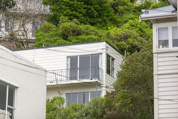 110c Grafton Road Roseneath_12