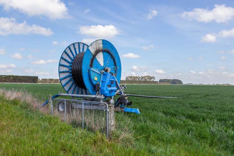 Selwyn Lake Road Leeston_16