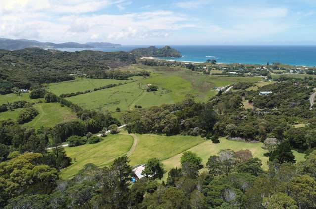 55 Mason Road Great Barrier Island (Aotea Island)_4