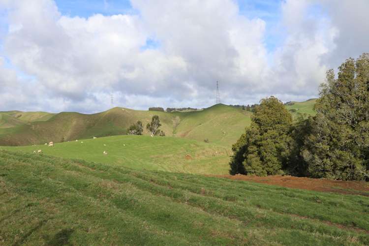 259 Elgood Road Ngaruawahia_8