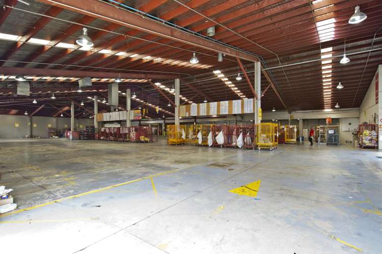 1A, 11 McDonald Street Morningside_5