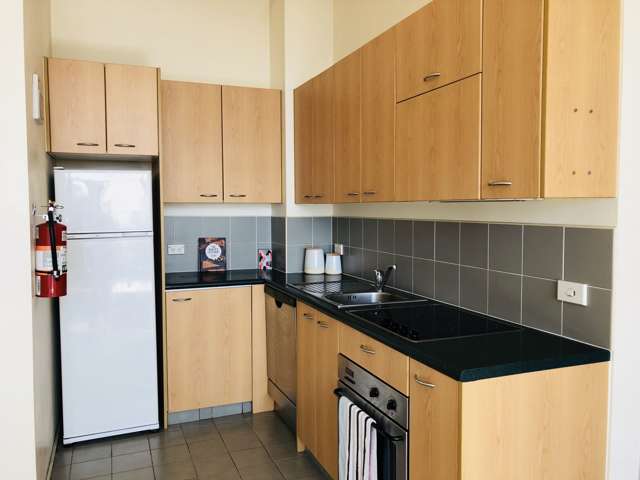 14B/15 Mount Street Auckland Central_2