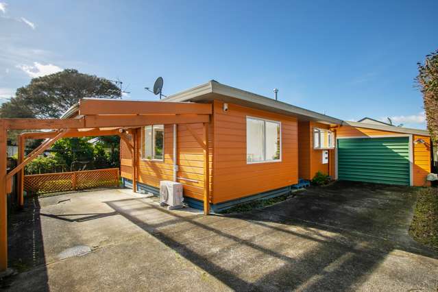 29b Haig Avenue Mount Roskill_1