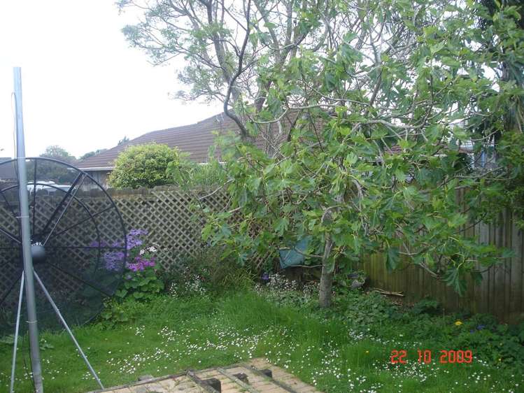 59 Bob Charles Drive Golflands_18