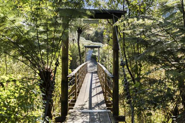 251 Old Coach Road Kaimarama_4