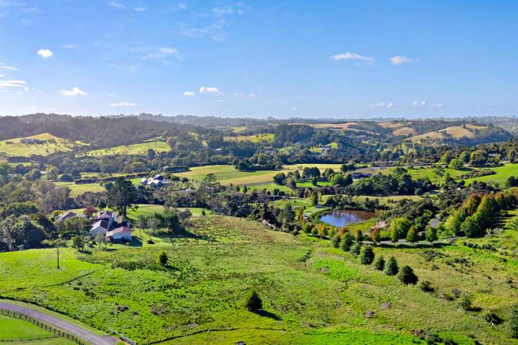 123A Escott Road Dairy Flat_5