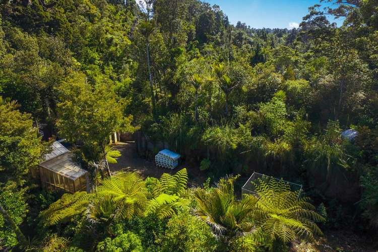 144 Opanuku Road Henderson Valley_4