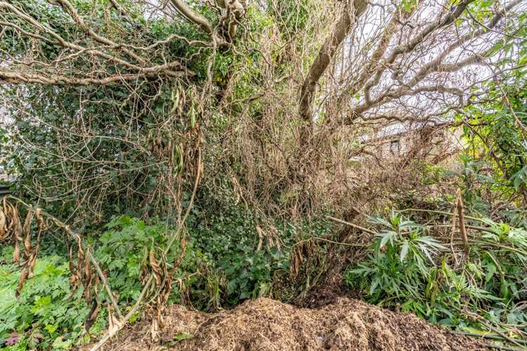 87 Venus Street Georgetown_19