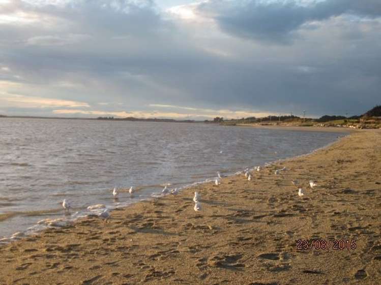 11 Neva Street Wyndham Surrounds_13