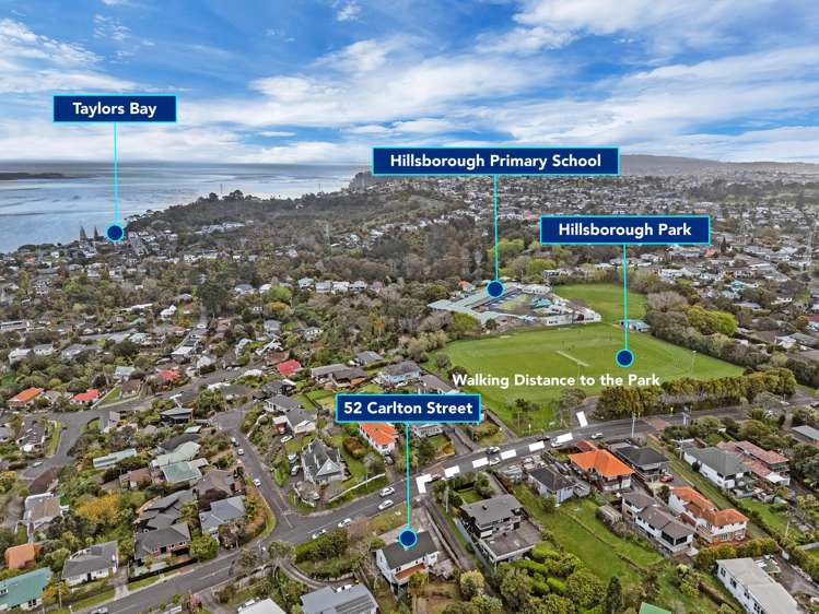52 Carlton Street Hillsborough_50