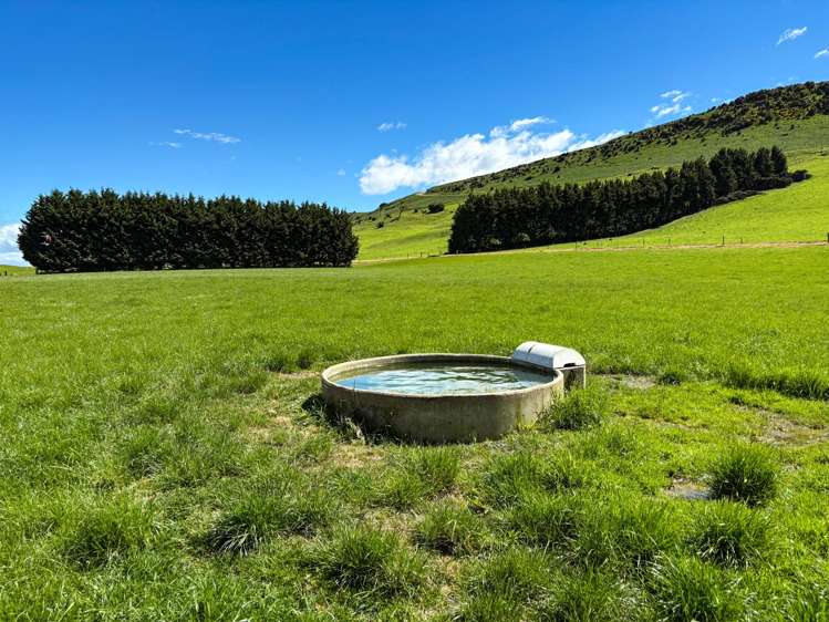 1024 Owaka Valley Road Owaka_14