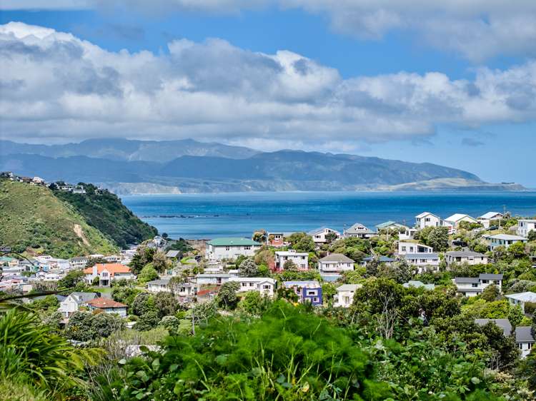 38a Frobisher Street Island Bay_11