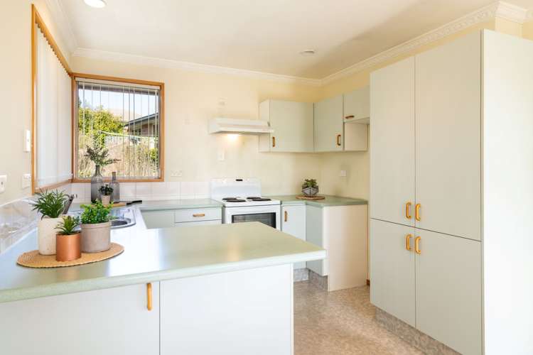 44 Burgess Street Green Island_4