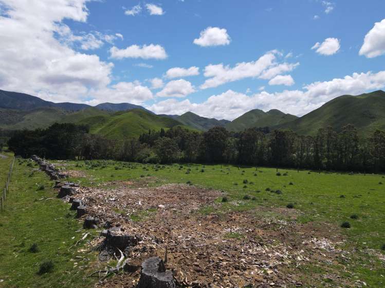 Lot Lot 1/9 Tamaki East Road Dannevirke_19