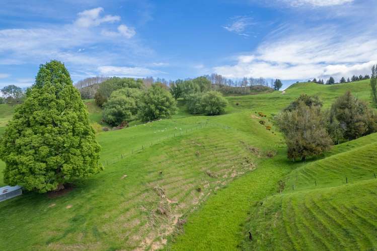 1538A State Highway 3 Te Kuiti_37