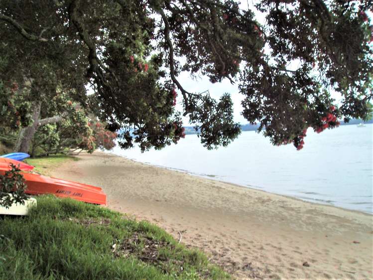 55 Te Taniwha Road One Tree Point_4