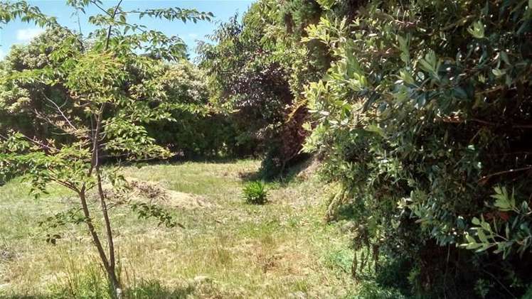 36 Roto Street Hurdon_1