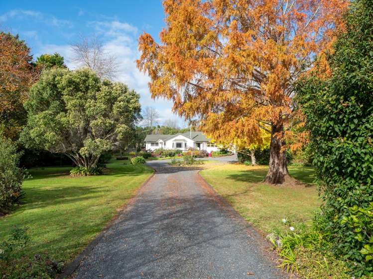 3 Limelight Lane Kerikeri_16