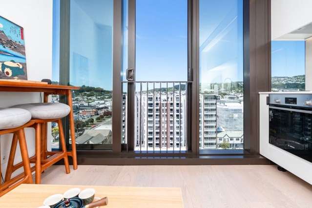 New built high level studio in Courtenay place!