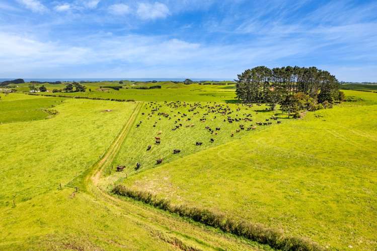 523/593 Warea Road Warea_6